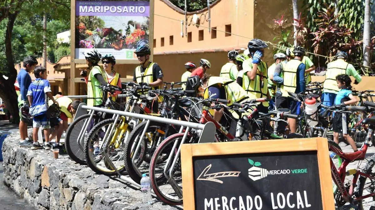 Día Mundial de la Bicicleta (2)